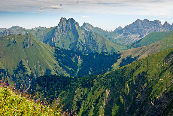 Allgäuer Alpen mit dem Charakterberg Höfats